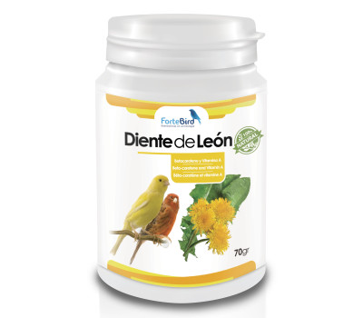 Diente de León | Betacaroteno y Vitamina A