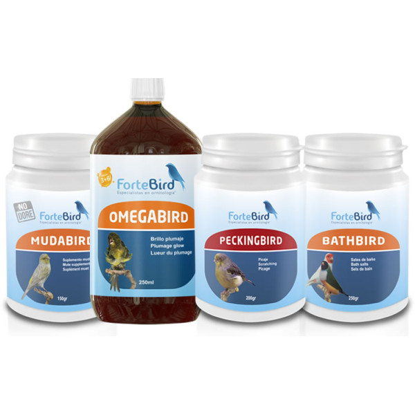 Pack Muda Fortebird Packs Pack Muda Fortebird Packs