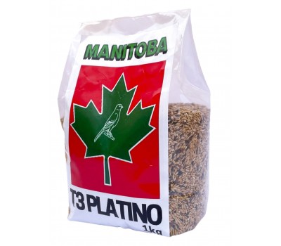 Mxt. Canarios T3 Platino (Manitoba)