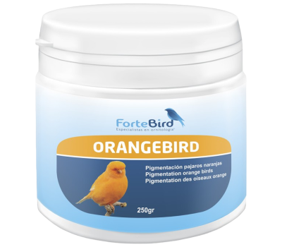 OrangeBird - Para canarios  Norwich y Yorkshire