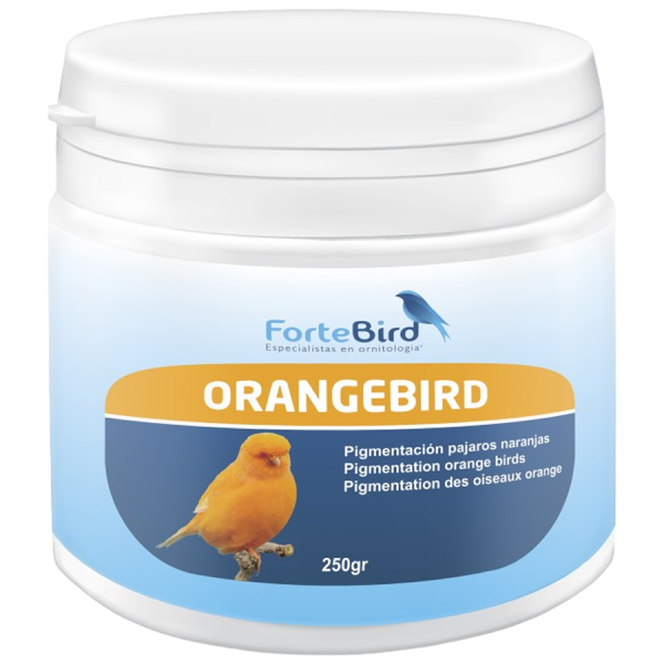 OrangeBird - Para canarios  Norwich y Yorkshire Bird coloring