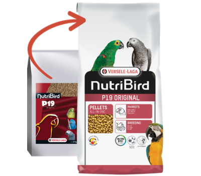 Alimento para crías de Papagayos Nutribird P19 Original