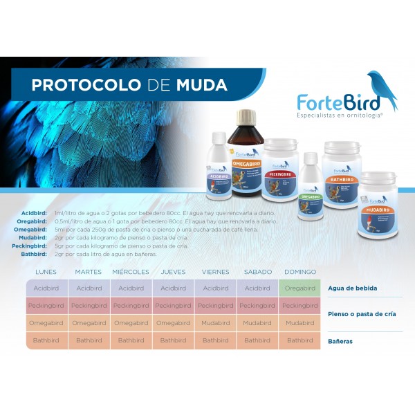 Pack Protocolo de Muda Pack Protocolo de Muda