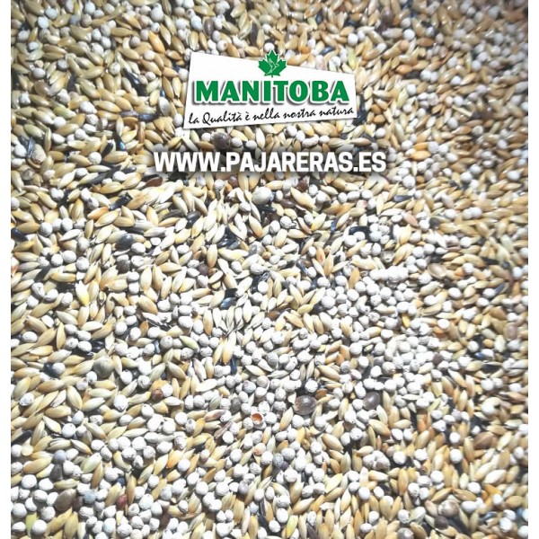 Mxt. Canarios T3 Platino (Manitoba) Comida para canarios