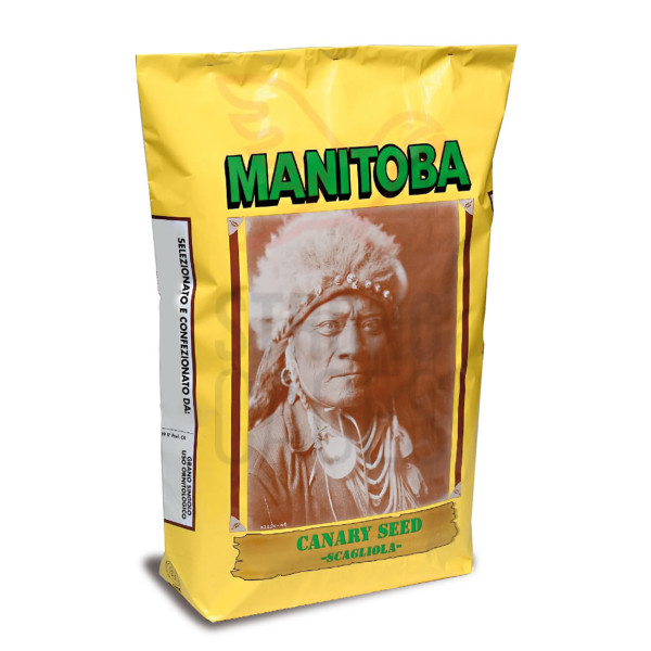 Alpiste Canada Extra Manitoba Seeds