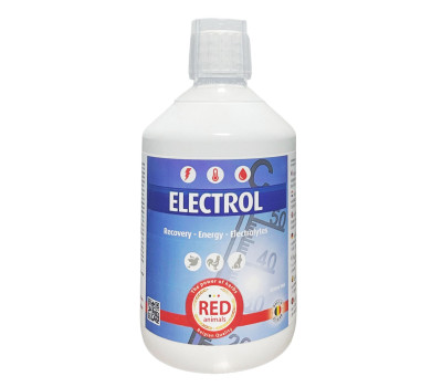 Electrol 500 ml (para una recuperación total y en tiempo récord)