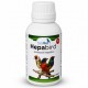 HepaBird | Protector hepático Protectores hepáticos