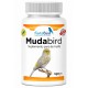 MudaBird | Suplemento muda Muda