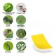 Trampa adhesiva impermeable de doble cara para insectos voladores Higiene Trampa adhesiva impermeable de doble cara para insectos voladores Higiene