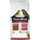 Nutribird B18 (pienso para agapornis y periquitos) Food for agapornis and nymphs