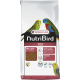 Nutribird B18 (pienso para agapornis y periquitos) Comida para agapornis y ninfas