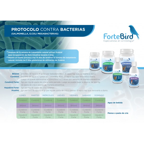 Pack Protocolo contra Bacterias Pack Protocolo contra Bacterias