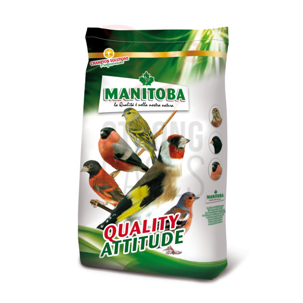 Mxt. Spinus & Spinus (Manitoba) Food for goldfinches and wild birds