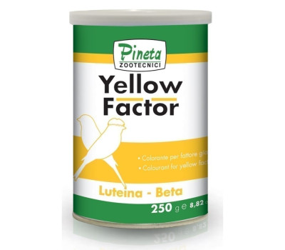 Pineta Yellow Factor