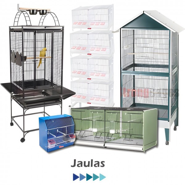Cages and aviaries