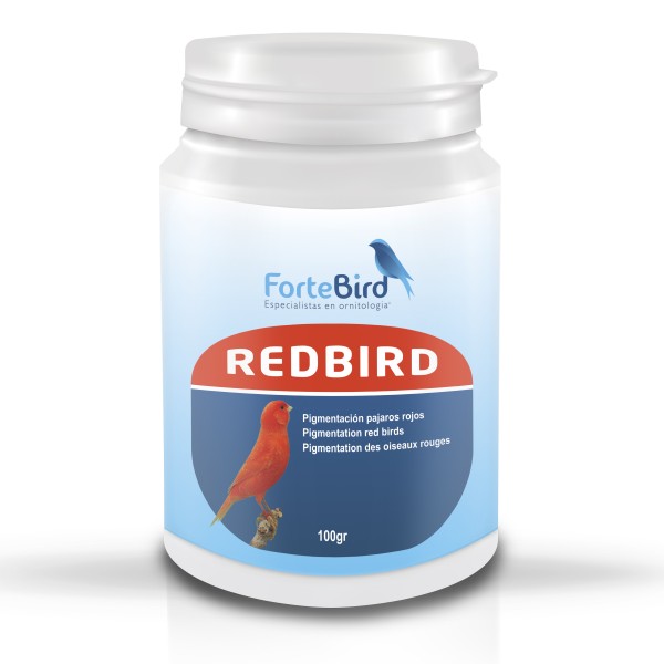 RedBird | Pigmentación pájaros rojos Bird coloring RedBird | Pigmentación pájaros rojos Bird coloring
