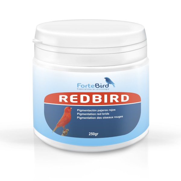 RedBird | Pigmentación pájaros rojos Bird coloring