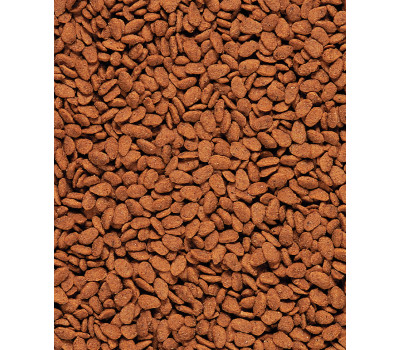 NutriBird G14 Original (pienso para grandes periquitos)