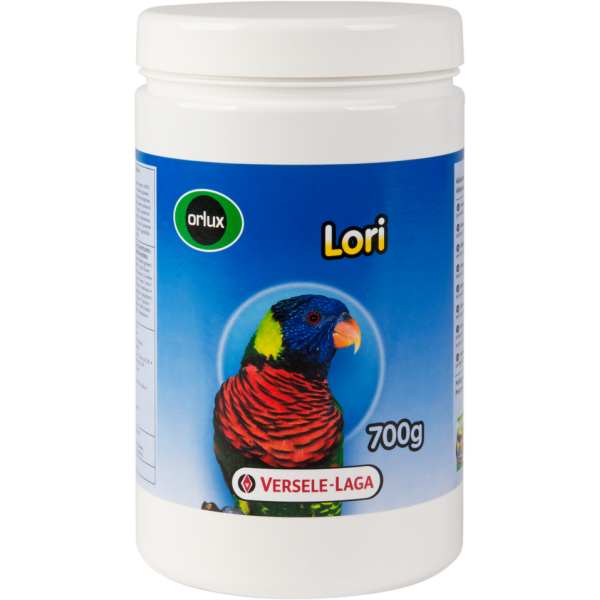 Orlux-Lori Orlux-Lori