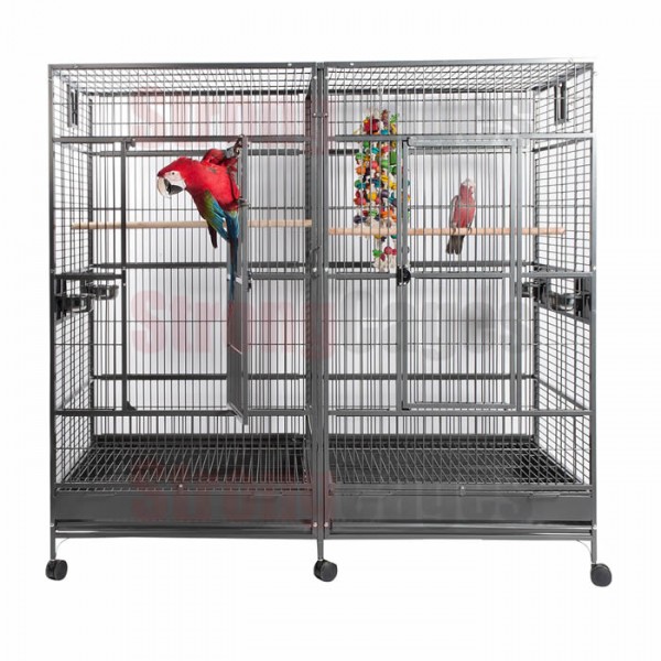 Twin Macaw Twin Macaw