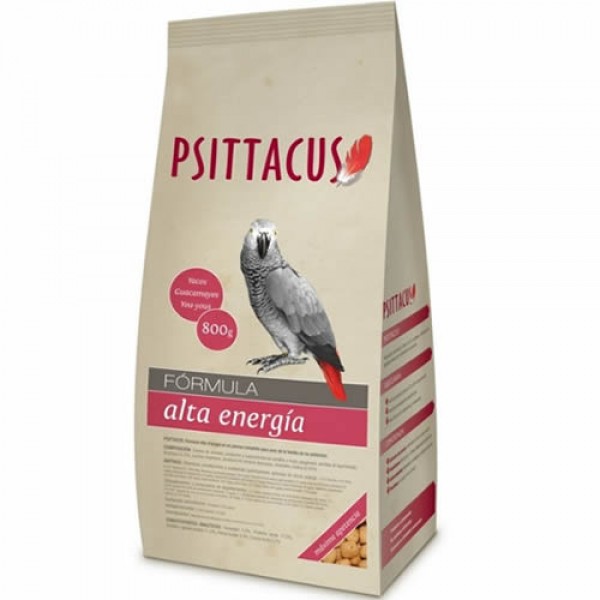 Psittacus alta energia