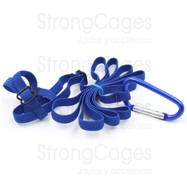 Arnes para Agapornis Arnes para Agapornis