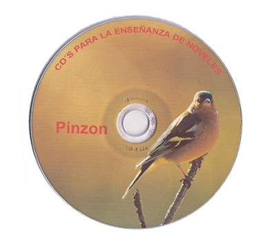 Pinzón