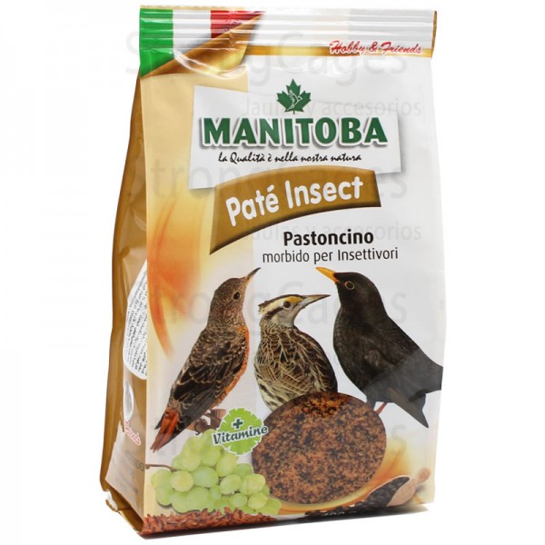 Pasta Insect Morbida  Pastas Mórbida