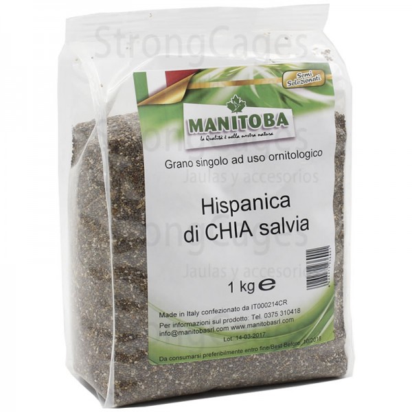 Chia Manitoba Semillas