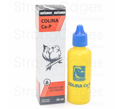 Colina Ca/P 30 ml (Evita los problemas hepáticos y problemas digestivos)