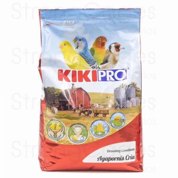 KIKI Pro Agapornis Cria KIKI Pro Agapornis Cria