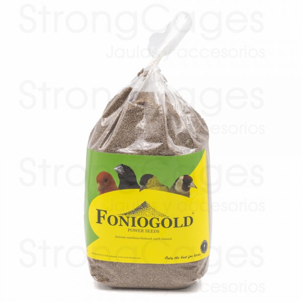 Fonio gold - coccidiosis Seeds Fonio gold - coccidiosis Seeds