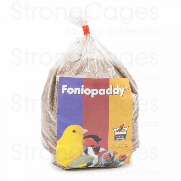 Fonio Paddy | Semilla Anticoccidiosica 1 Kg Seeds Fonio Paddy | Semilla Anticoccidiosica 1 Kg Seeds