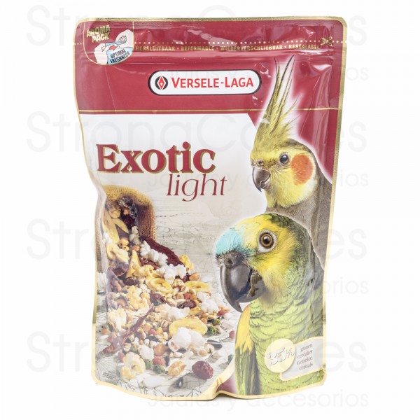 Exotic Light Exotic Light