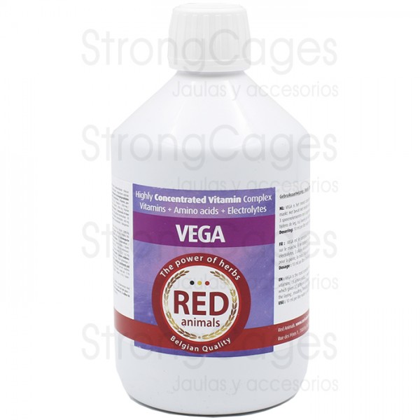 Vega (vitaminas /aminoácidos /electrolitos)    Red Pigeon