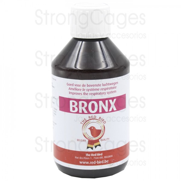 Bronx (vias respiratorias) Bronx (vias respiratorias)