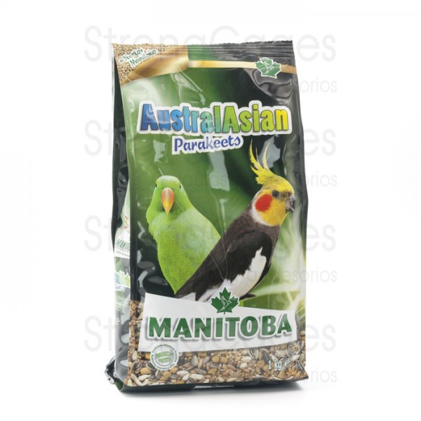 Mxt. AustralAsian Parrakeets Mxt. AustralAsian Parrakeets