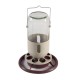 Comedero de cristal para colgar Feeders Comedero de cristal para colgar Feeders