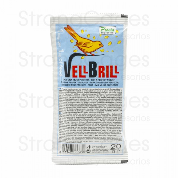 Vell Brill Pineta | Mudas Vell Brill Pineta | Mudas