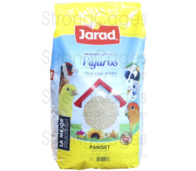 Paniset / panizo en grano