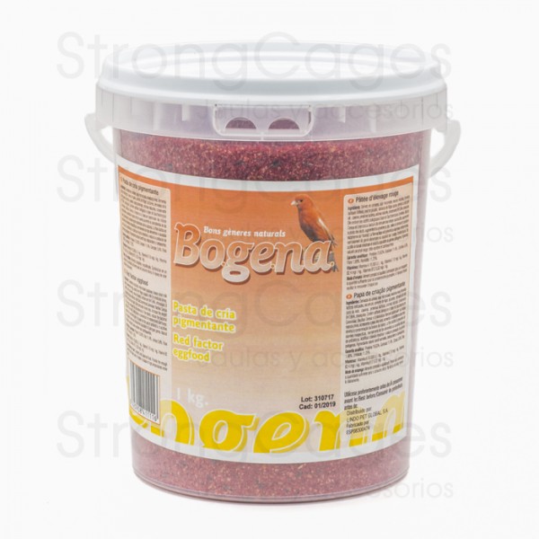 Bogena pasta de cria factor rojo Morbid breeding stock Bogena pasta de cria factor rojo Morbid breeding stock