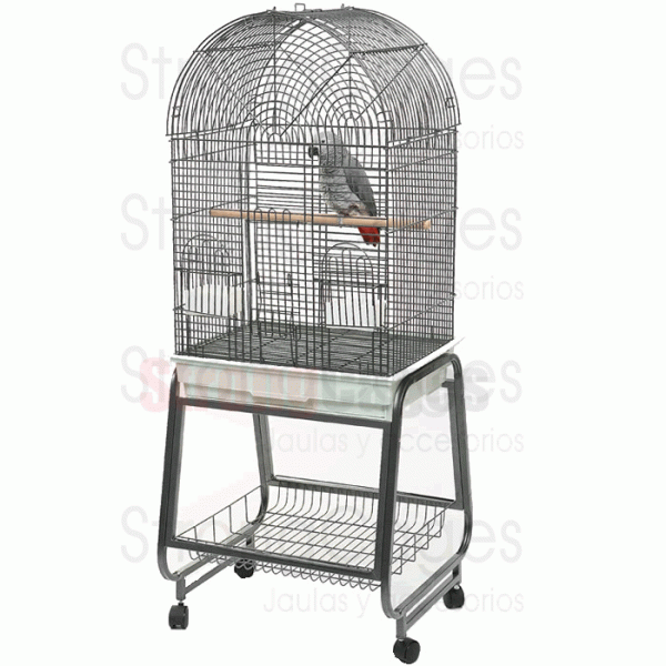 Cage Brasil Cage Brasil