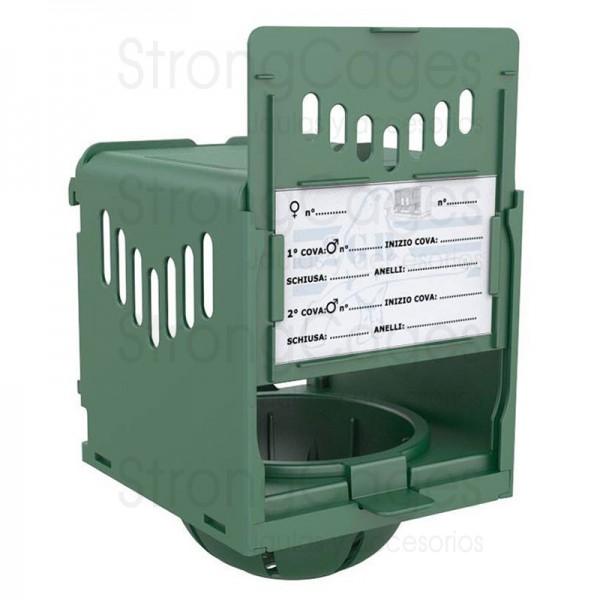 Nido Sansara 2gr Nests and accessories for the nest Nido Sansara 2gr Nests and accessories for the nest