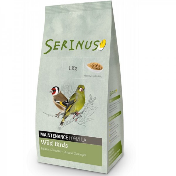 Serinus Silvestres Mantenimiento  Food for goldfinches and wild birds
