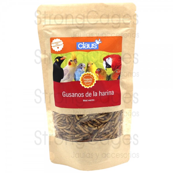 Gusanos de la harina para aves Comida jilgueros y silvestres