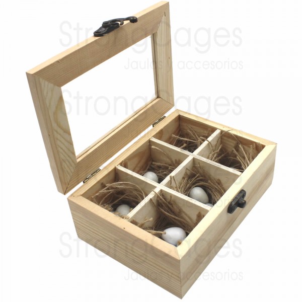 Caja para guardar huevos Canarios Inicio