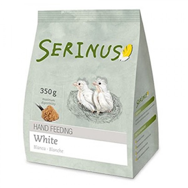 Serinus Papilla Canarios Blancos Serinus Papilla Canarios Blancos