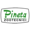 Pineta