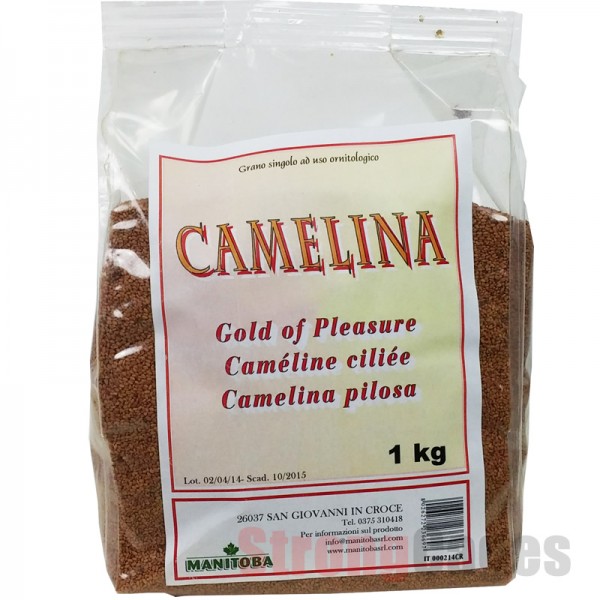 Camelina Sativa (Manitoba) 1kg. Camelina Sativa (Manitoba) 1kg.