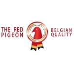 Red Pigeon